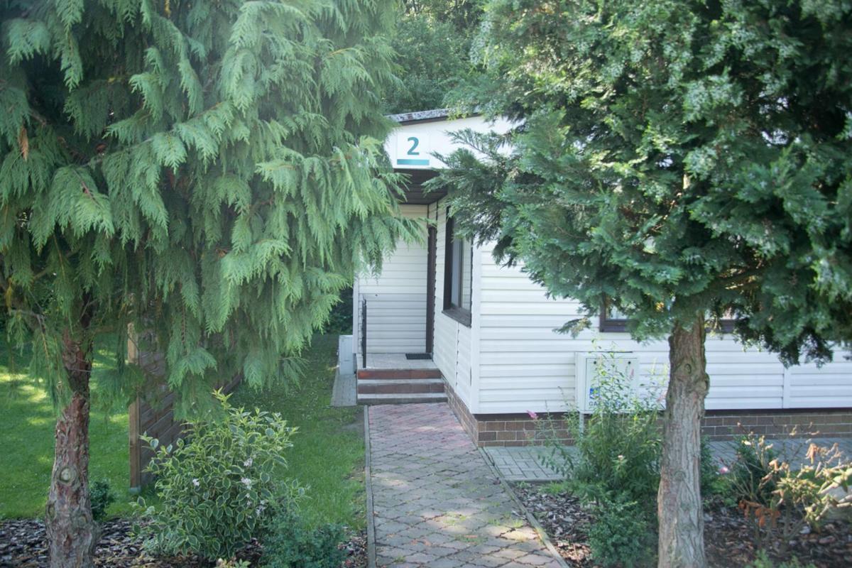 Camping Oaza Blonie Kornik Domki Standard - 3 Pokoje Exteriör bild
