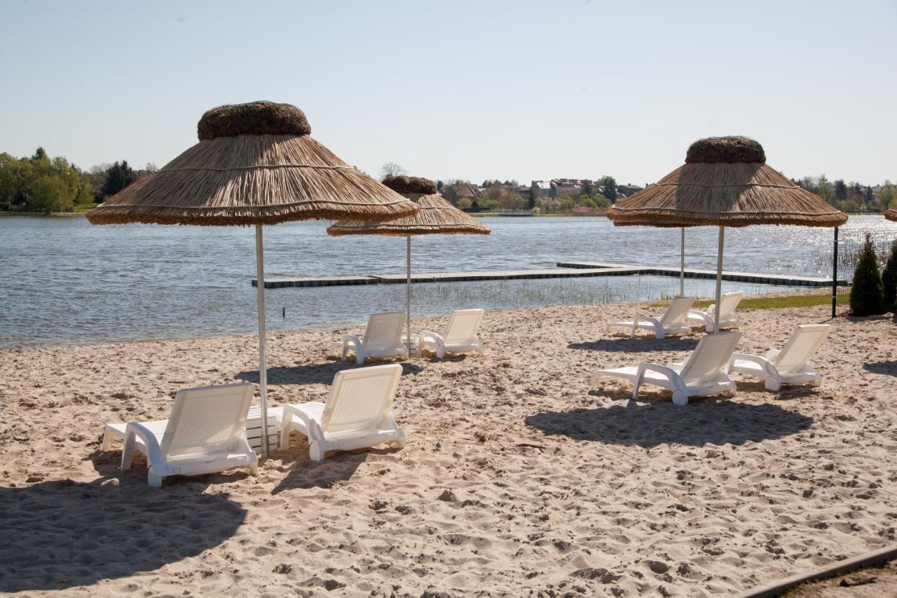 Camping Oaza Blonie Kornik Domki Standard - 3 Pokoje Exteriör bild